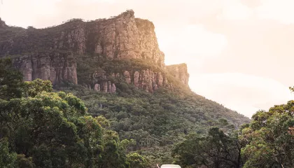 a JUCY wave in Australia