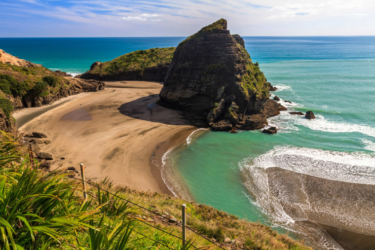 Auckland Beaches