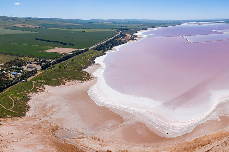 lake bumbunga salt pink lake