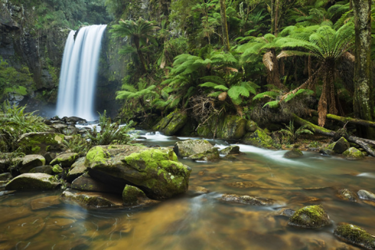 otway-ranges-gold-coast-surf-spots