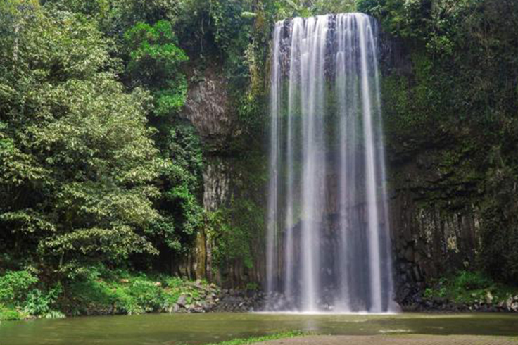 Millaa Millaa waterfall at Atherton Tablelands Queensland