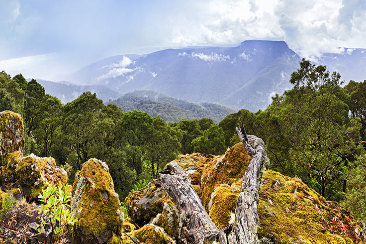 view over barrington tops national park