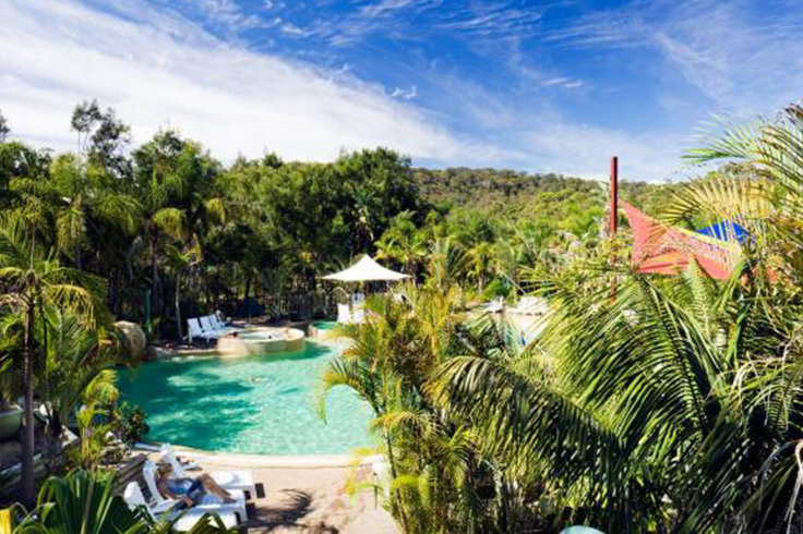 Pool surrounded by trees in a holiday park