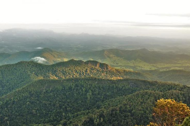 Scenic view at Wollumbin National Park