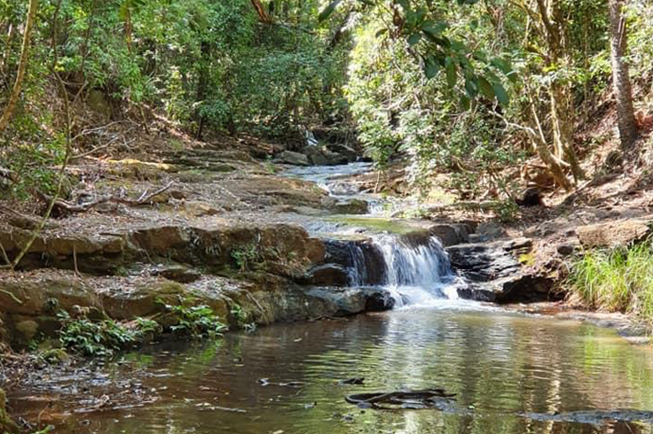 Browns Falls 