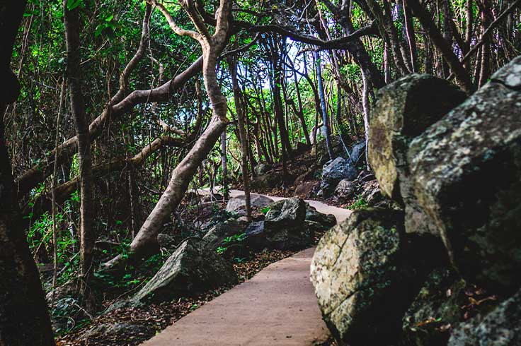 Walkway through Burleigh Heads