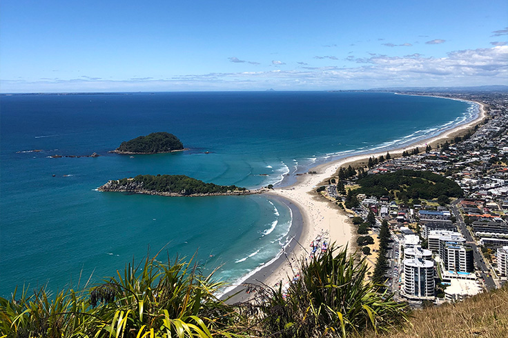 Aerial view of beach