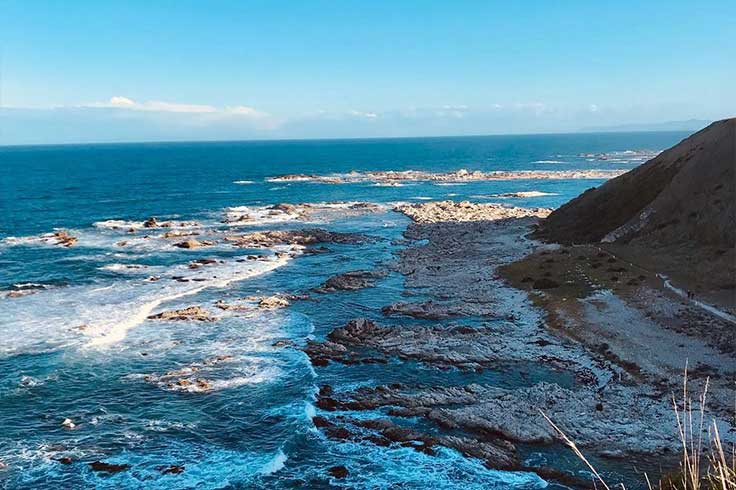 Wide photo of Kaikoura Coastline