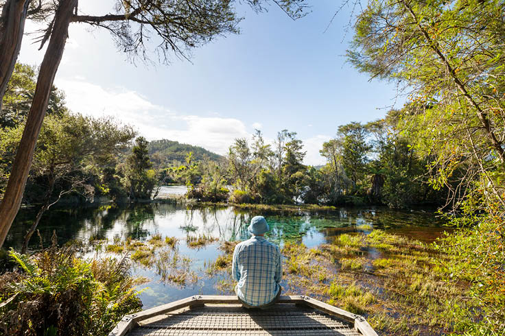 Blue Springs New Zealand