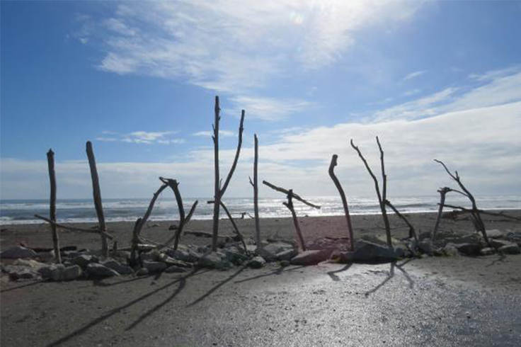 West coast beach New Zealand